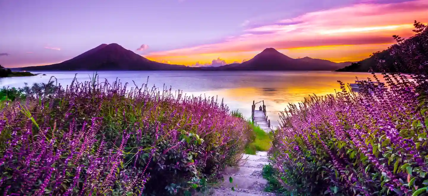 Lake with sunrise and flowers.